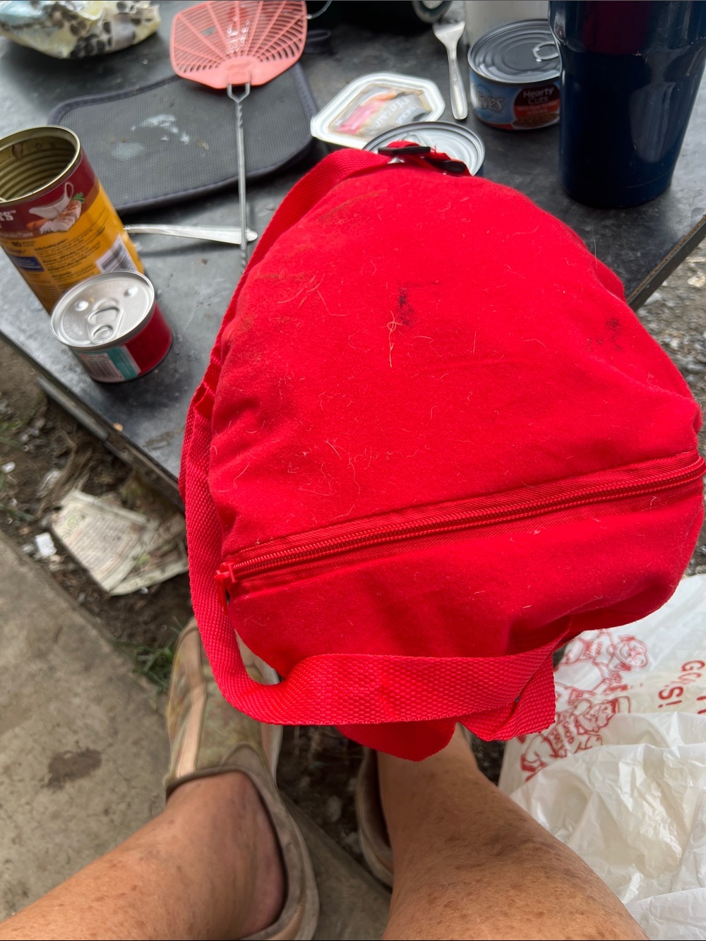 Backpack - Picture 2 of 2